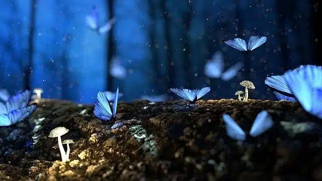 papillons bleus issus d'un rêve