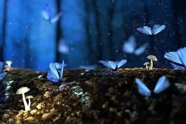 papillons bleus issus d'un rêve
